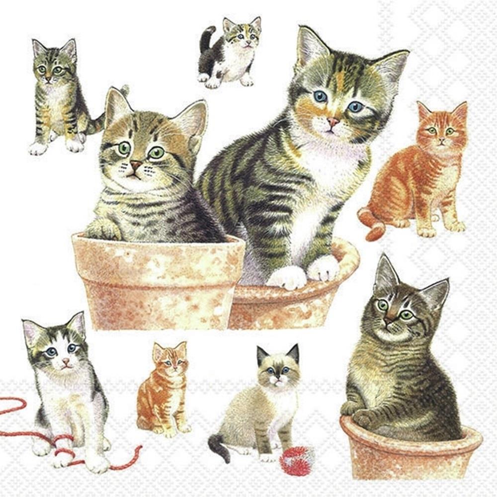 4 x Paper Napkins - Cute Kittens - Ideal for Decoupage / Napkin Art