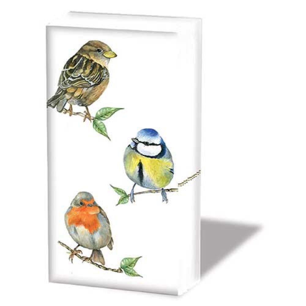 Ambiente Novelty Paper Tissues - Bird Species - Handbag / Pocket Sized Single Pack of 10 Tissues
