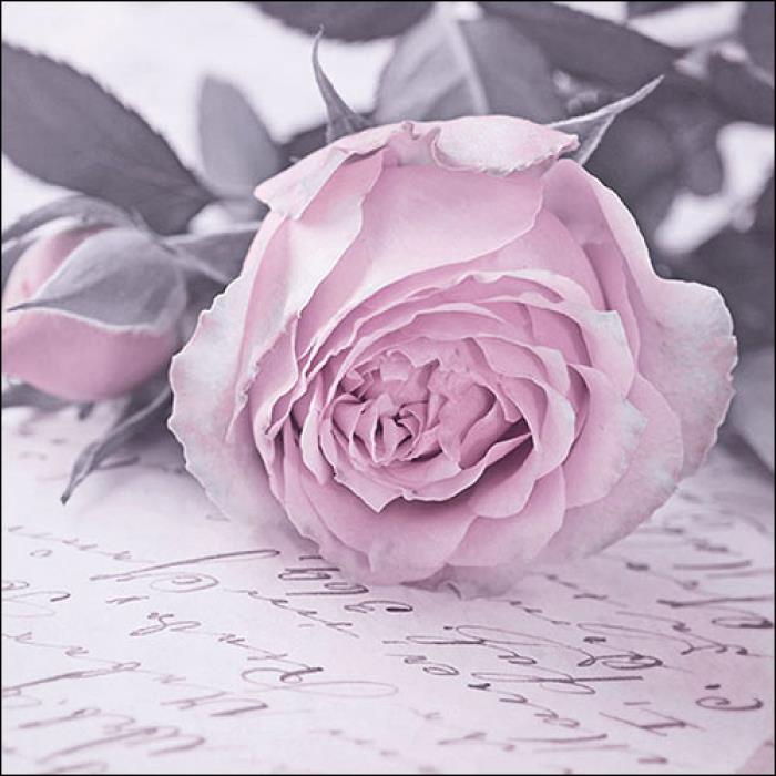 4 x Paper Napkins - Mary Vintage - Ideal for Decoupage / Napkin Art