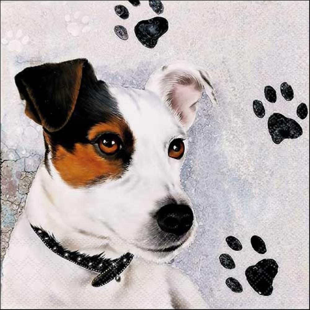 Ambiente Pack of 20 Paper Napkins / Serviettes - Jack Russel - 33cm x 33cm - 3 Ply