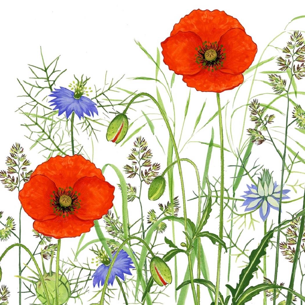 4 x Paper Napkins - Poppy Field - Ideal for Decoupage / Napkin Art