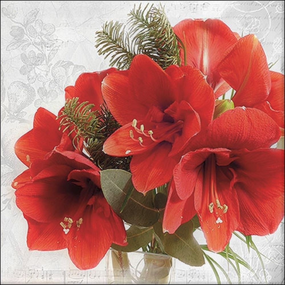 4 x Paper Napkins - Amaryllis - Ideal for Decoupage / Napkin Art