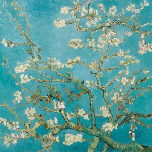 Ambiente Pack of 20 Paper Napkins / Serviettes - Almond Blossom - 33cm x 33cm - 3 Ply