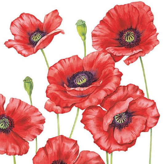 Ambiente Pack of 20 Paper Napkins / Serviettes - Romantic Poppy - 33cm x 33cm - 3 Ply