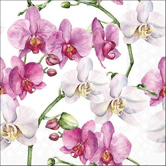 4 x Paper Napkins - Elegant Orchids White - Ideal for Decoupage / Napkin Art