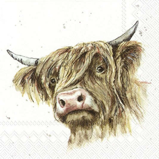 4 x Paper Napkins - Farm Friends Galloway - Ideal for Decoupage / Napkin Art