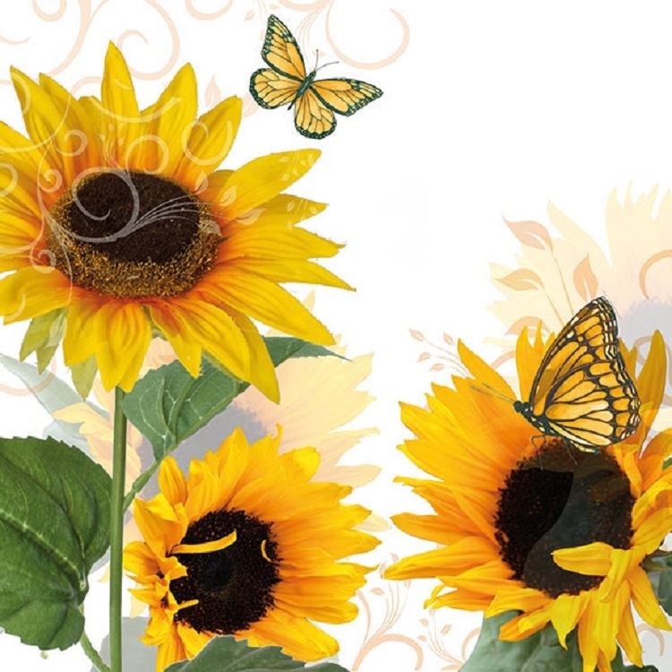 4 x Paper Napkins - Sunny Butterfly - Ideal for Decoupage / Napkin Art