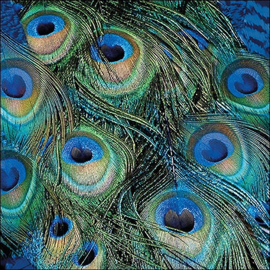 Ambiente Pack of 20 Paper Napkins / Serviettes - Peacock Feathers - 33cm x 33cm - 3 Ply