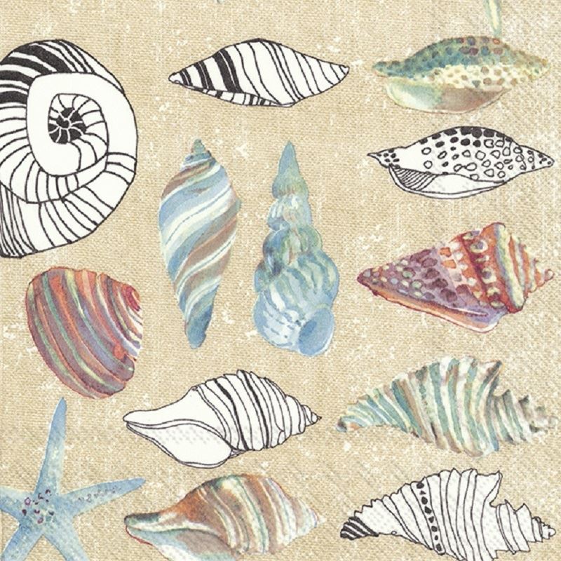 4 x Paper Napkins -Clams in the Sand  - Ideal for Decoupage / Napkin Art