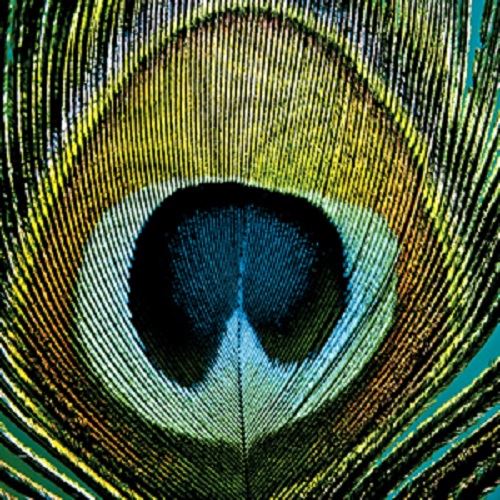 4 x Paper Napkins - Paradise Peacock - Ideal for Decoupage / Napkin Art