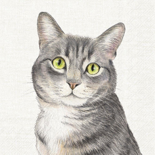 4 x Paper Napkins - Farm Cat - Ideal for Decoupage / Napkin Art