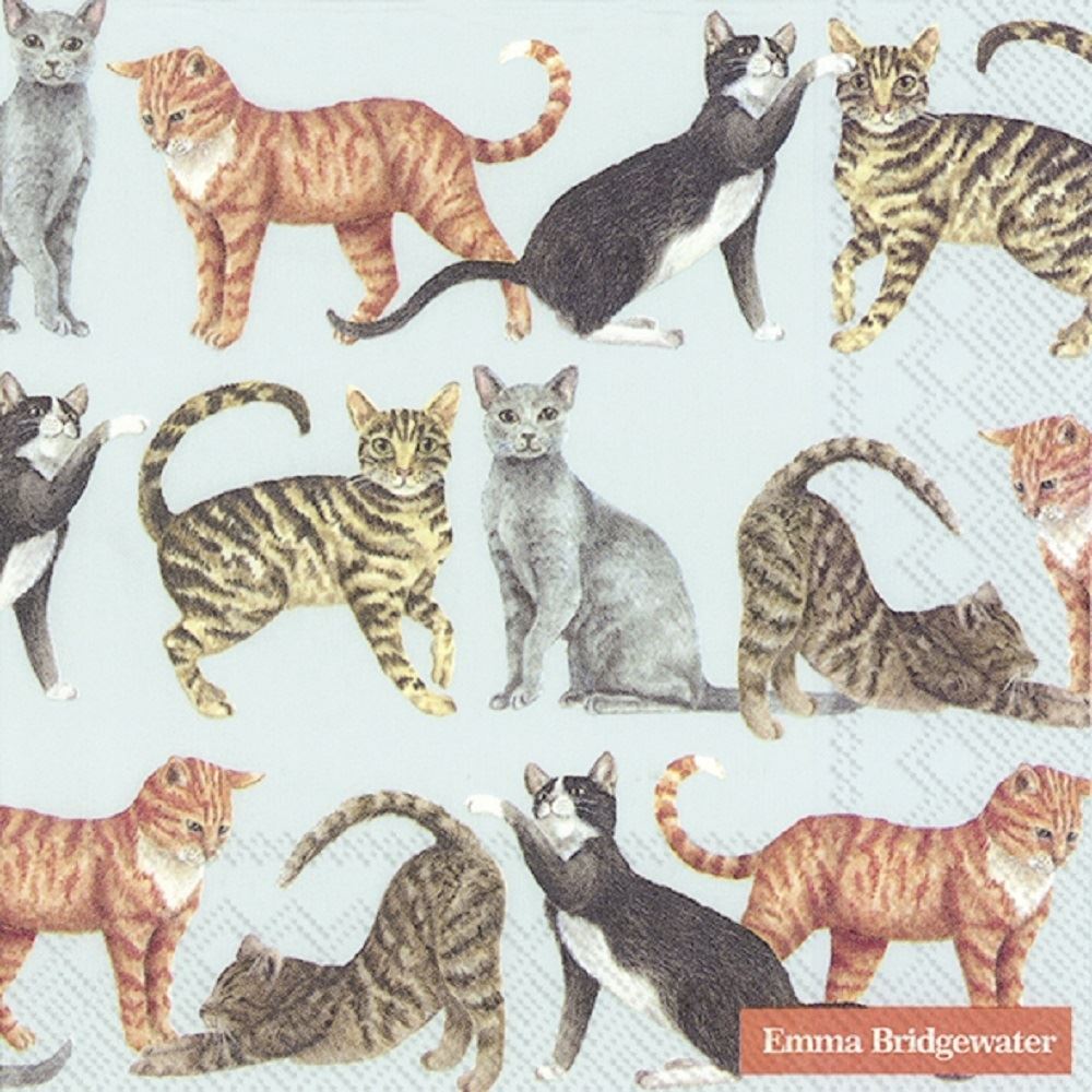 4 x Paper Napkins - Cats - Ideal for Decoupage / Napkin Art