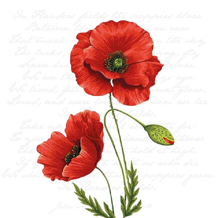 4 x Paper Napkins - Proud Poppy - Ideal for Decoupage / Napkin Art