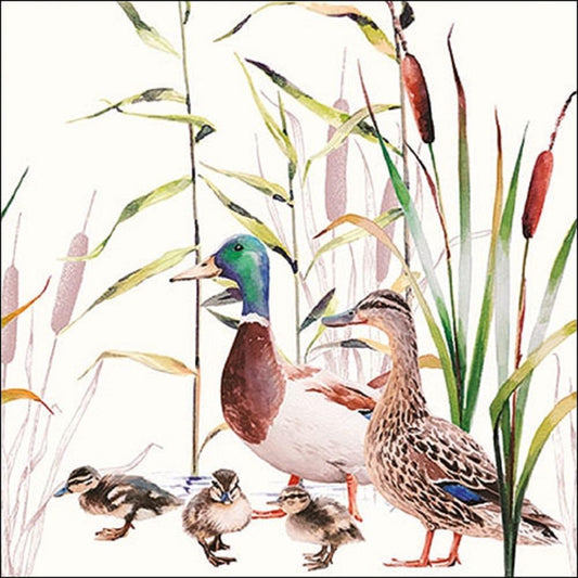 4 x Paper Napkins - Duck Couple - Ideal for Decoupage / Napkin Art