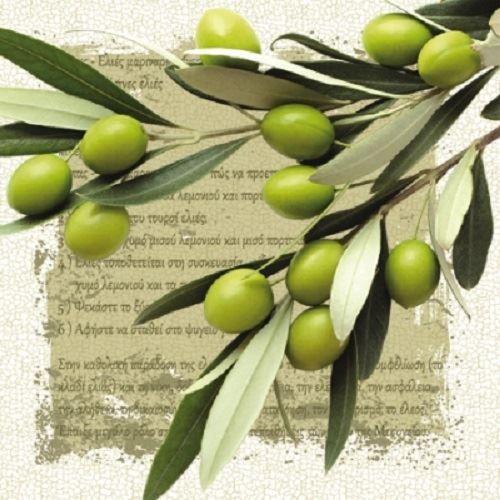 PAW Pack of 20 Napkins / Serviettes - Greek Olives - 33cm x 33cm - 3ply