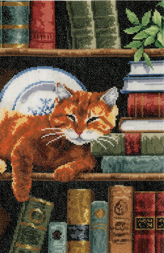 Counted Cross Stitch Kit by Vervaco - Cat on Bookshelf - 25 x 35cm