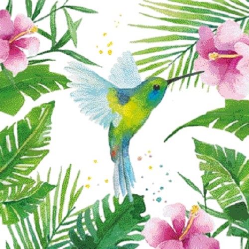 4 x Paper Napkins - Tropical Hummingbird - Ideal for Decoupage / Napkin Art