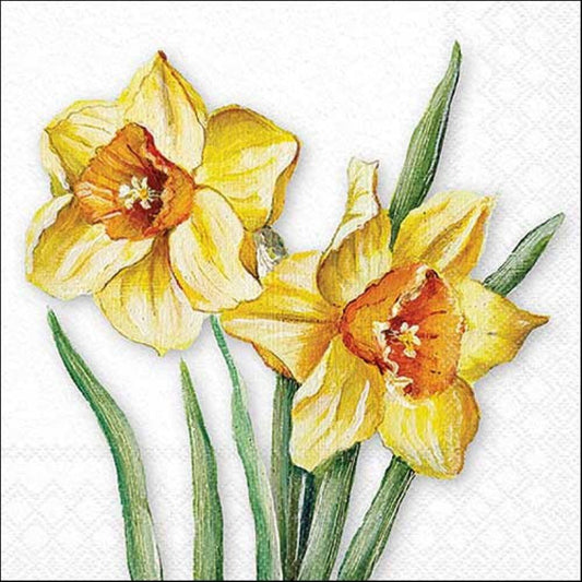 4 x Paper Napkins - Flowering Daffodils - Ideal for Decoupage / Napkin Art