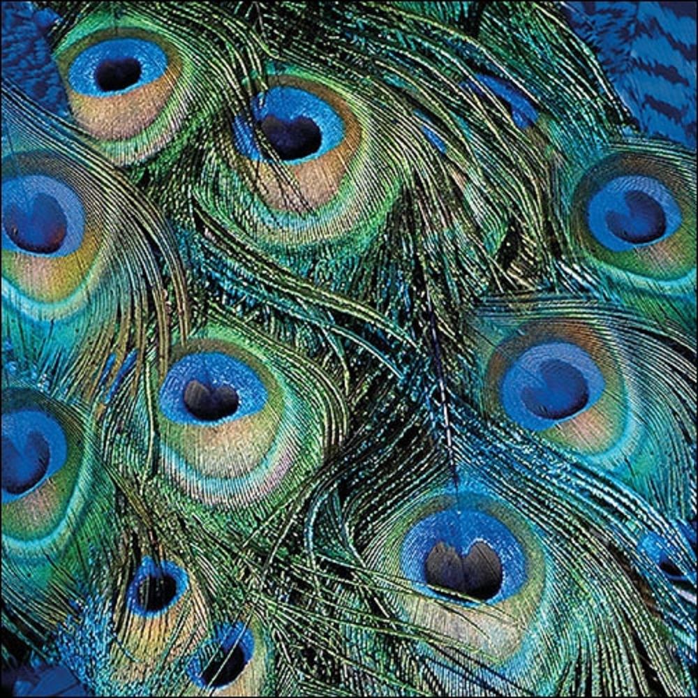 4 x Paper Napkins - Peacock Feathers - Ideal for Decoupage / Napkin Art