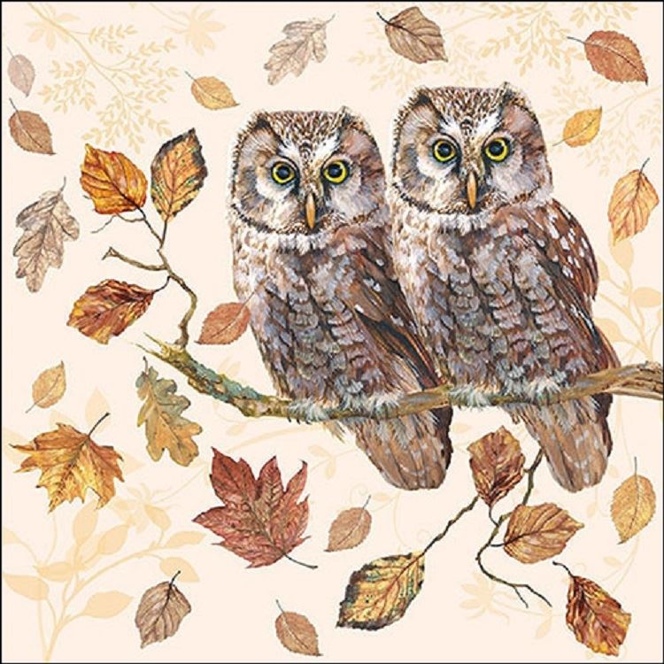 4 x Paper Napkins - Owl Couple - Ideal for Decoupage / Napkin Art