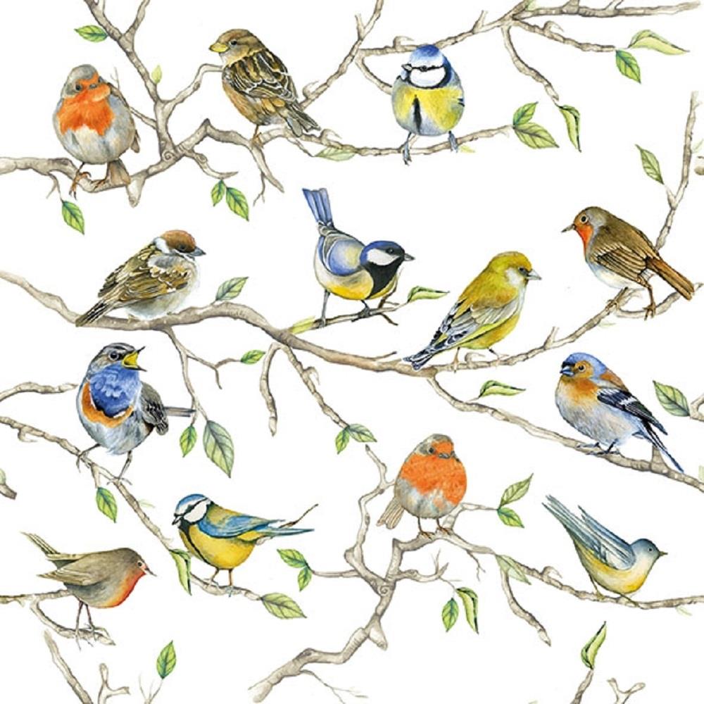 4 x Paper Napkins - Bird Meeting - Ideal for Decoupage / Napkin Art