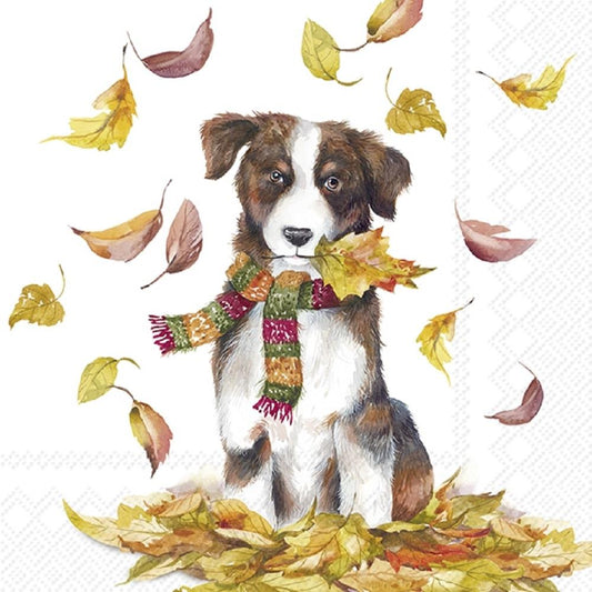 4 x Paper Napkins - Dog having Fun - Ideal for Decoupage / Napkin Art