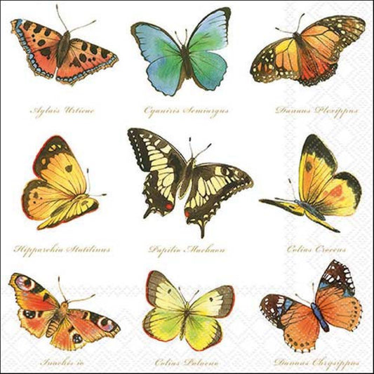 4 x Paper Napkins - Collection of Butterflies - Ideal for Decoupage / Napkin Art