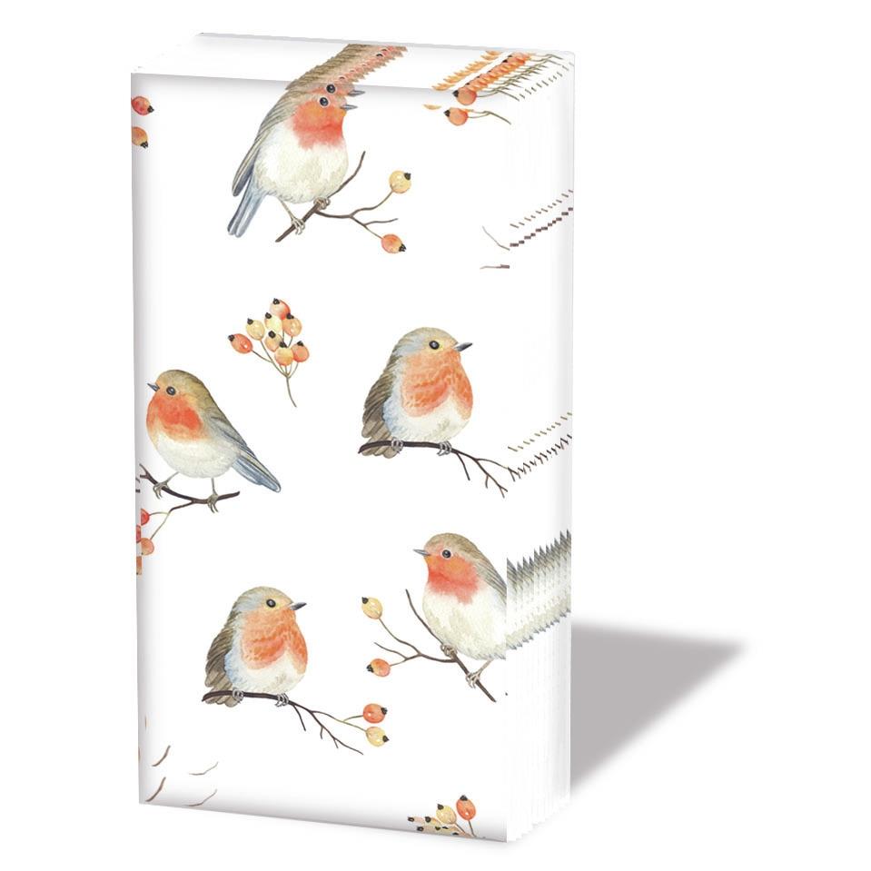 Ambiente Novelty Paper Tissues - Robin Family - Handbag / Pocket Sized Single Pack of 10 Tissues