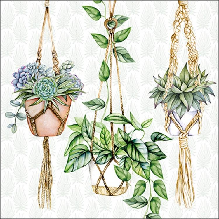 4 x Paper Napkins - Hanging Plants  - Ideal for Decoupage / Napkin Art