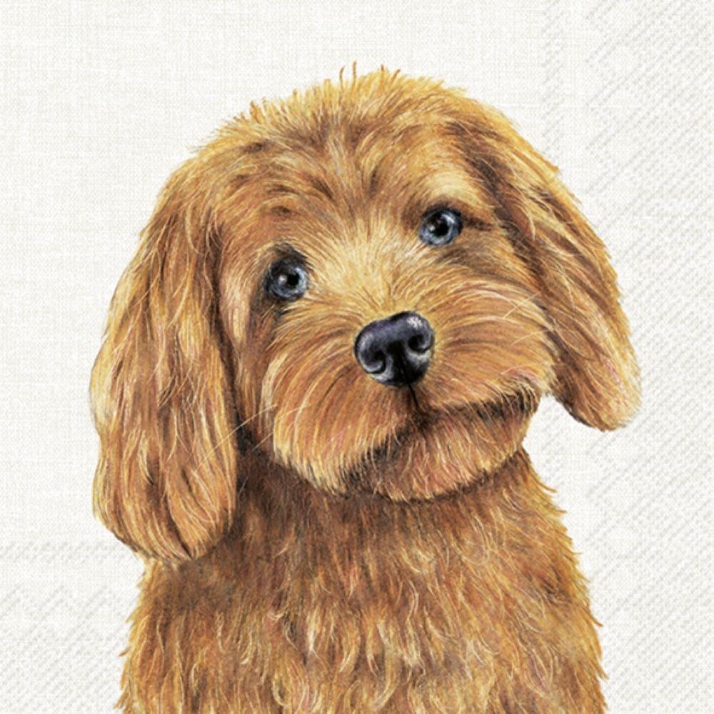 4 x Paper Napkins - Farm Dog - Ideal for Decoupage / Napkin Art