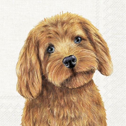 4 x Paper Napkins - Farm Dog - Ideal for Decoupage / Napkin Art