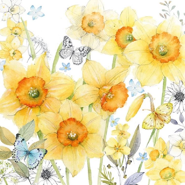 4 x Paper Napkins - Classic Daffodils - Ideal for Decoupage / Napkin Art