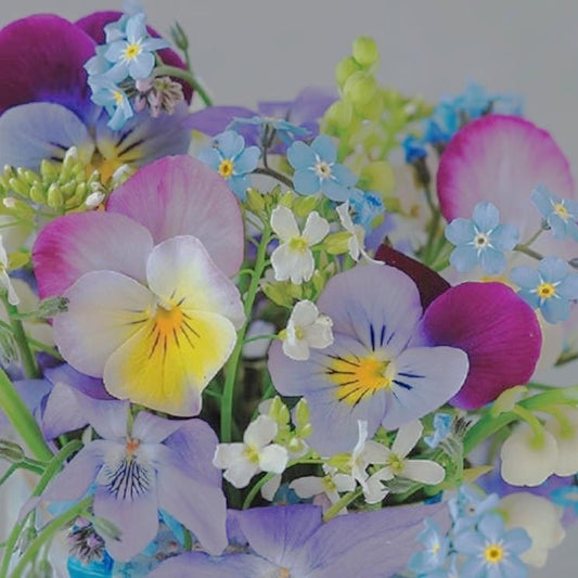 4 x Paper Napkins - Violets & Forget Me Nots - Ideal for Decoupage / Napkin Art