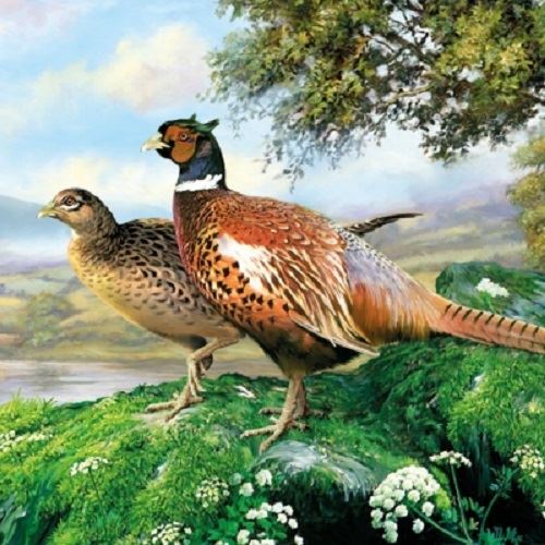 4 x Paper Napkins - Pheasant - Ideal For Decoupage / Napkin Art