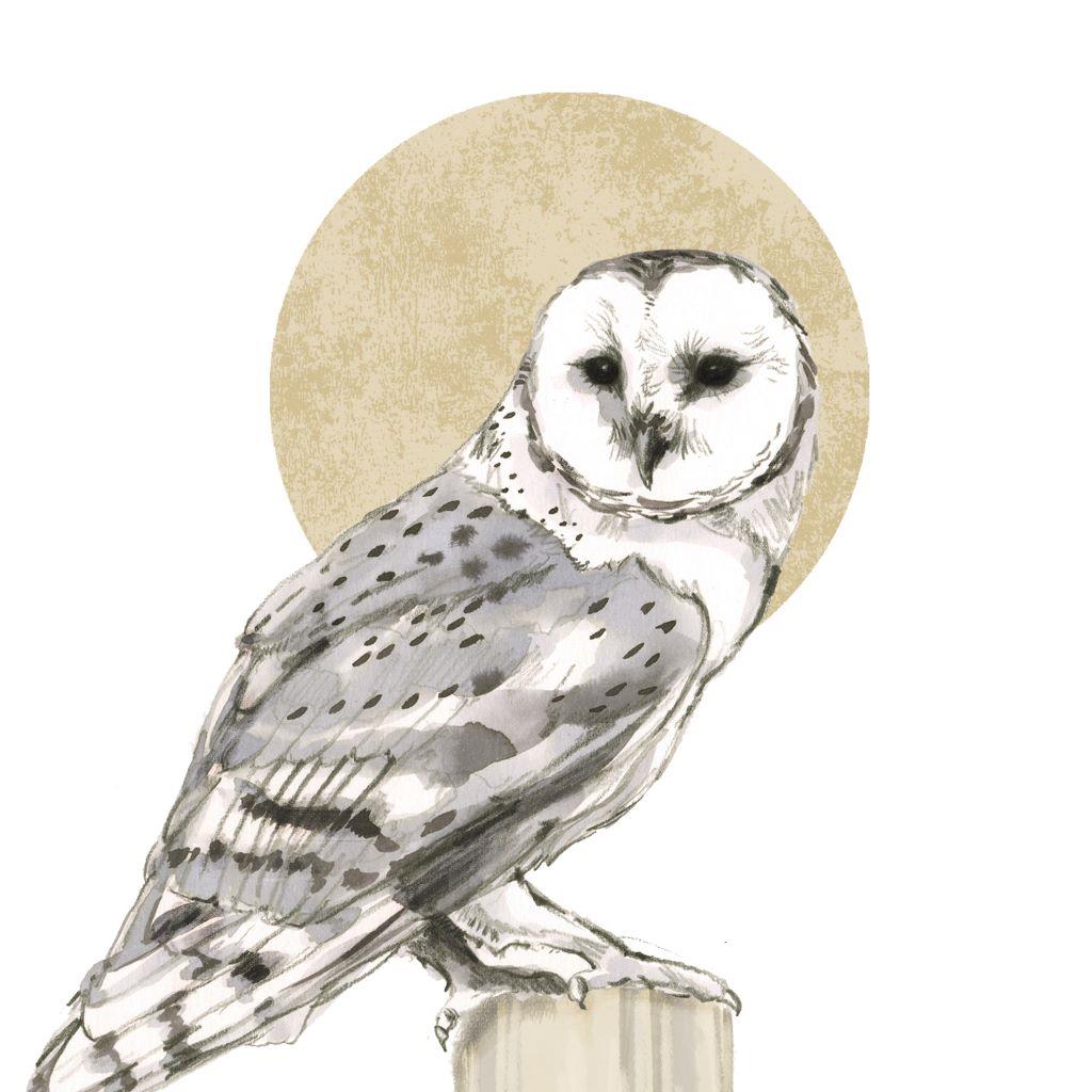 4 x Paper Napkins - Yvette Owl - Ideal for Decoupage / Napkin Art