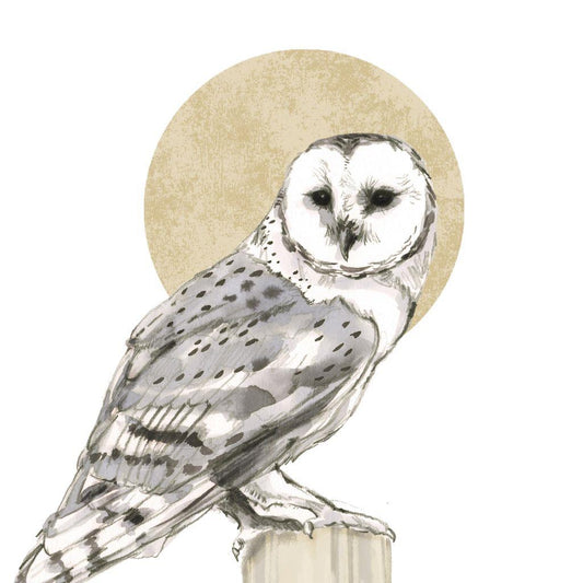 4 x Paper Napkins - Yvette Owl - Ideal for Decoupage / Napkin Art