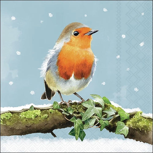 4 x Paper Napkins -Robin on Branch - Ideal for Decoupage / Napkin Art