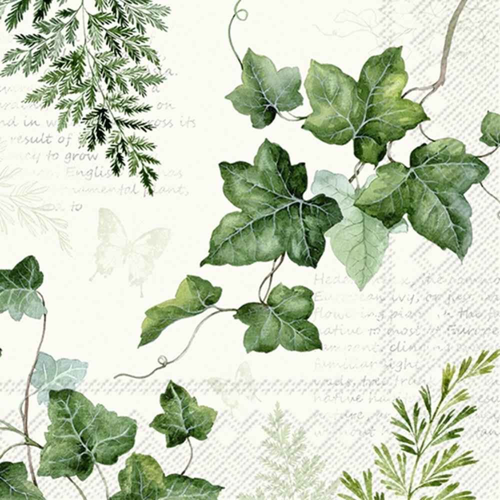 4 x Paper Napkins - Hedera Cream  - Ideal for Decoupage / Napkin Art