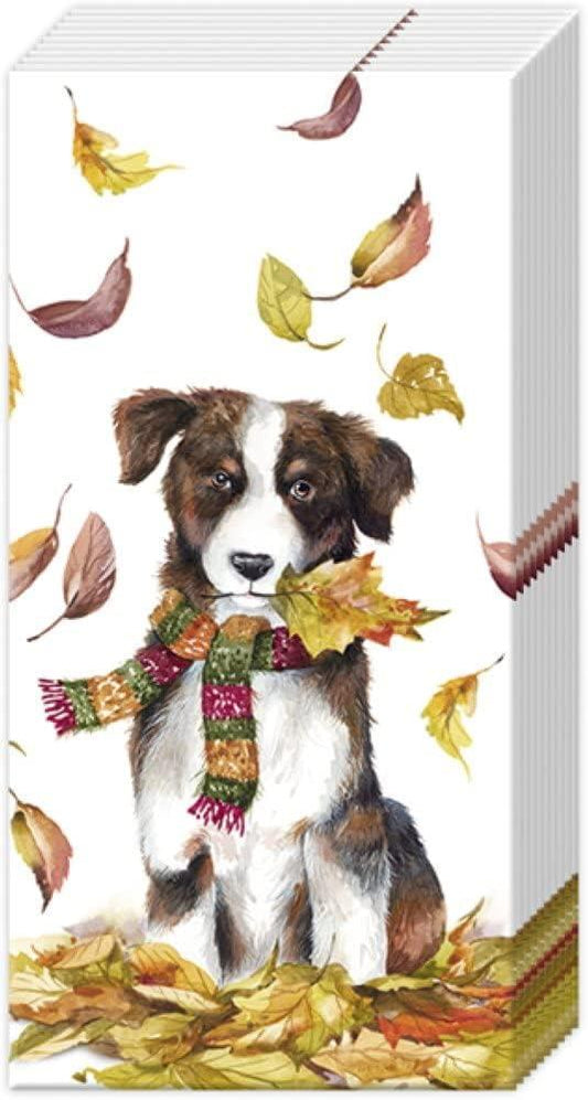 IHR Novelty Paper Tissues -Dog Having Fun - Handbag / Pocket Sized Single Pack of 10 Tissues