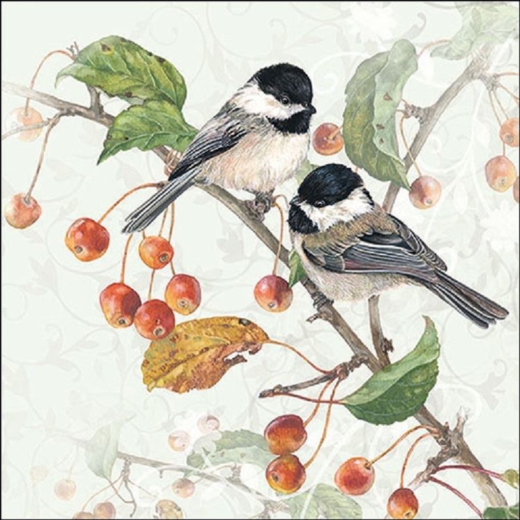 4 x Paper Napkins - Chickadee - Ideal for Decoupage / Napkin Art