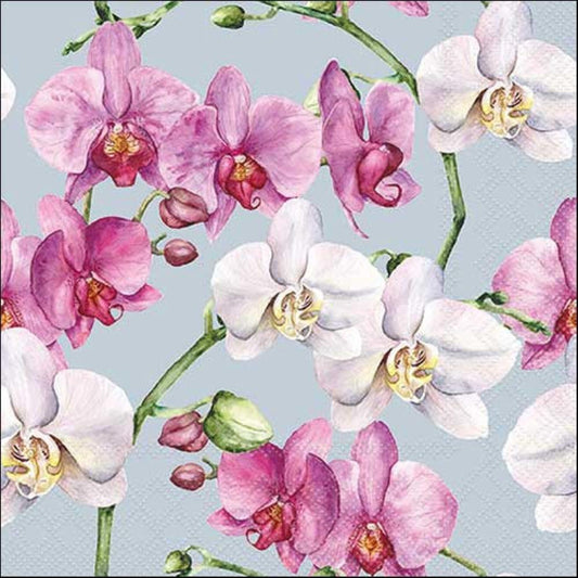 4 x Paper Napkins - Elegant Orchids Blue - Ideal for Decoupage / Napkin Art