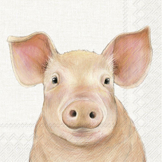 4 x Paper Napkins - Farm Pig - Ideal for Decoupage / Napkin Art