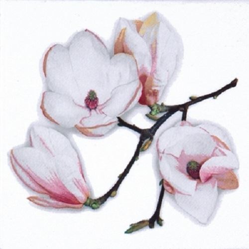 4 x Paper Napkins - White Magnolia - Ideal for Decoupage / Napkin Art